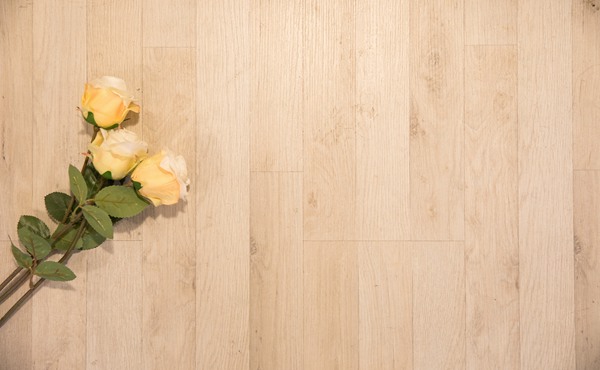 纤维板期货交易时间是几点到几点