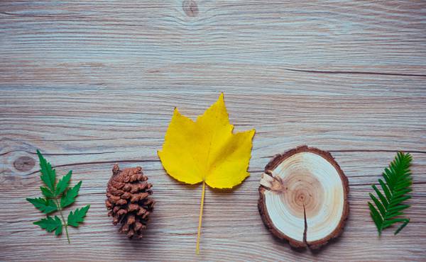 纤维板期货有夜盘吗