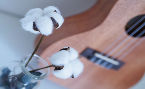 棉纱期货有夜盘吗 交易时间是几点到几点