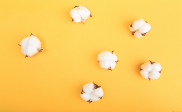 棉纱期货有夜盘吗 交易时间是几点到几点