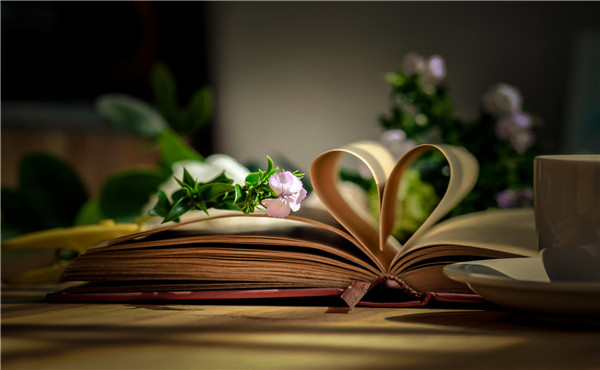 个人要交个纸浆期货吗