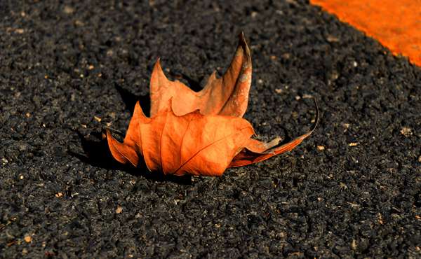动力煤期货最后交易日和动力煤期货交割日期