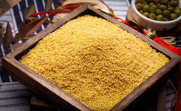 菜粕交易时间 菜粕期货夜盘时间