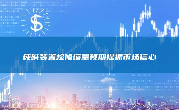 纯碱期货主力