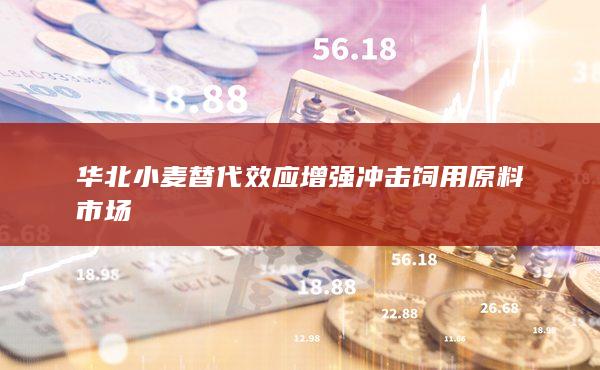 玉米主力