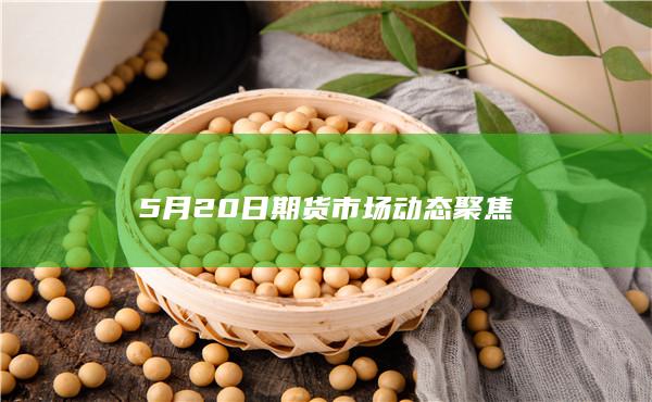 5月20日期货市场动态聚焦