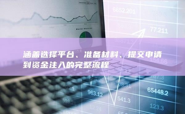 提交申请到资金注入的完整流程