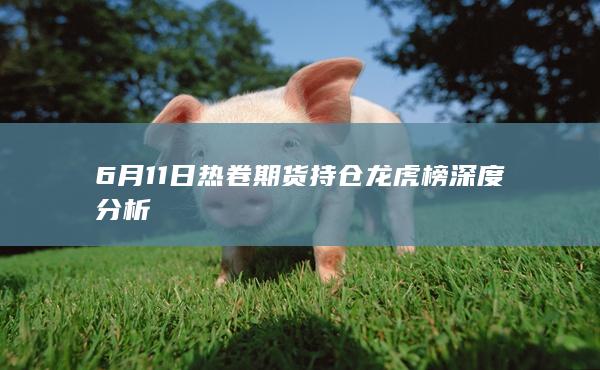6月11日热卷期货持仓龙虎榜深度分析