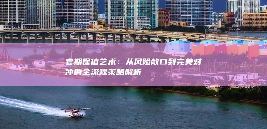 套期保值艺术