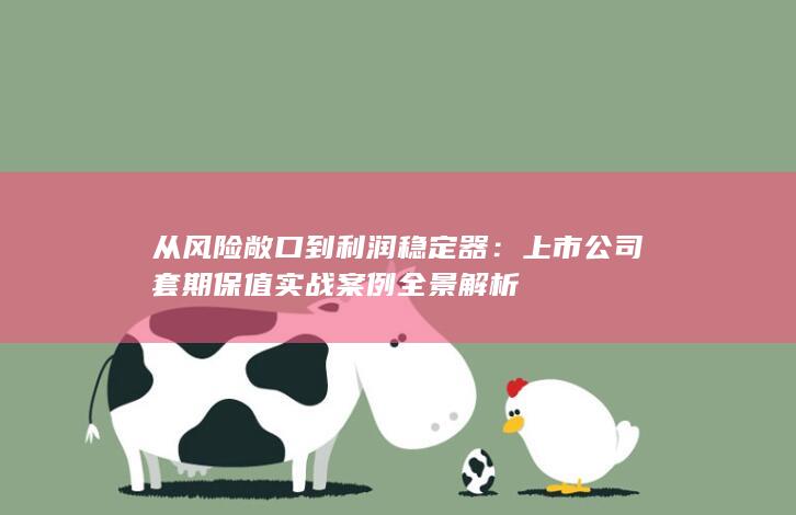 上市公司套期保值实战案例全景解析