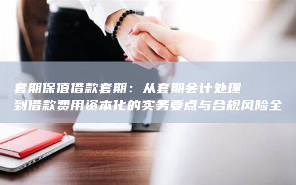 套期保值借款套期