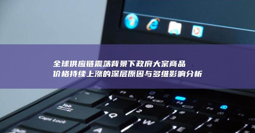 全球供应链震荡背景下政府大宗商品价格持续上涨的深层原因与多维影响分析
