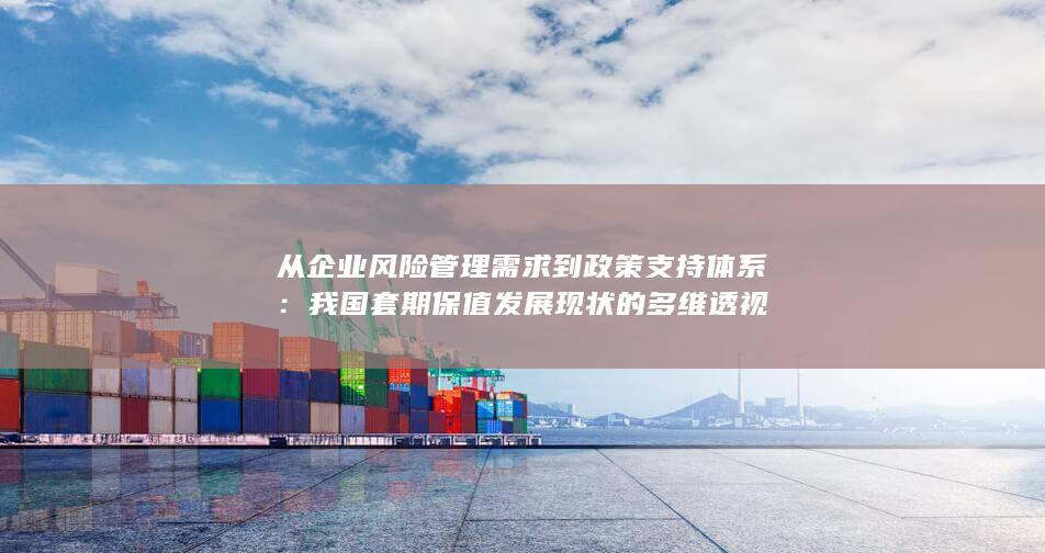 从企业风险管理需求到政策支持体系