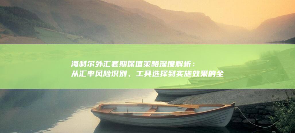 海利尔外汇套期保值策略深度解析