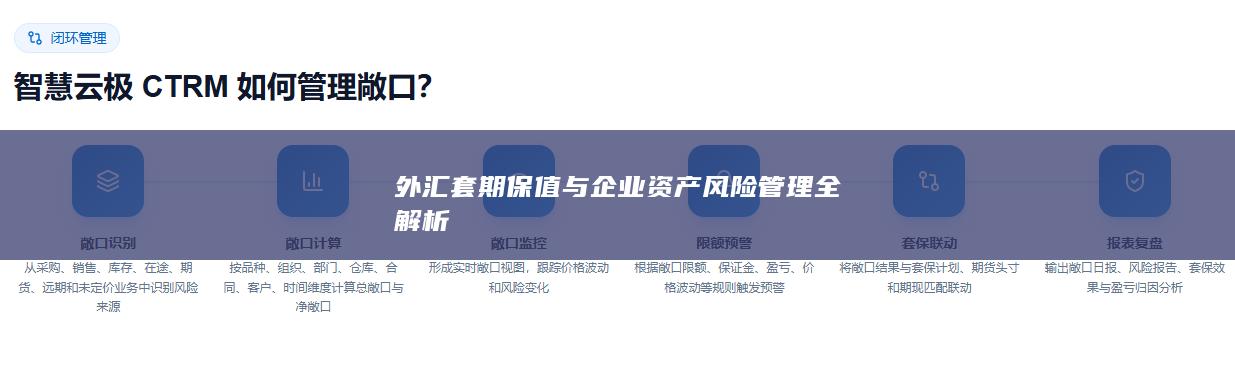 外汇套期保值与企业资产风险管理全解析