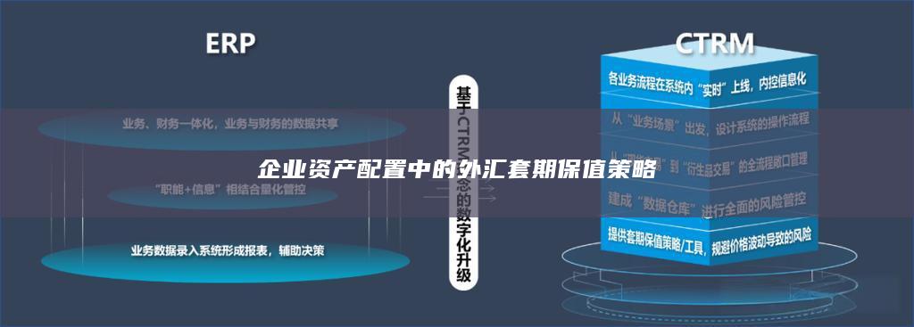 企业资产配置中的外汇套期保值策略