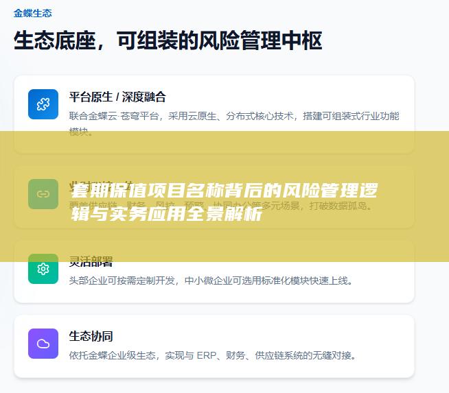 套期保值项目名称背后的风险管理逻辑与实务应用全景解析