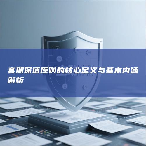 套期保值原则的核心定义与基本内涵解析