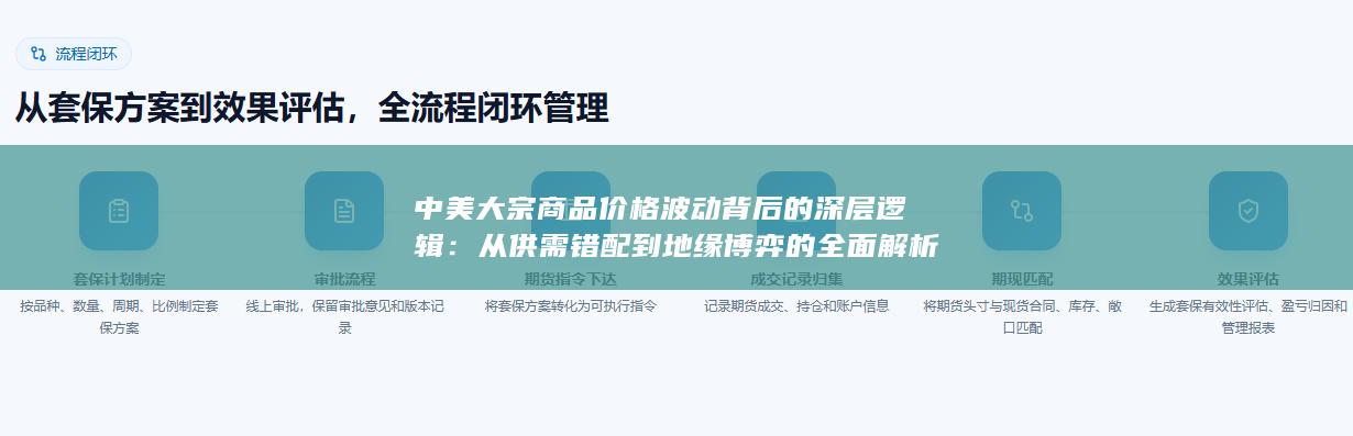 从供需错配到地缘博弈的全面解析