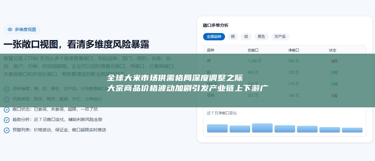 全球大米市场供需格局深度调整之际大宗商品价格波动加剧引发产业链上下游广泛关注