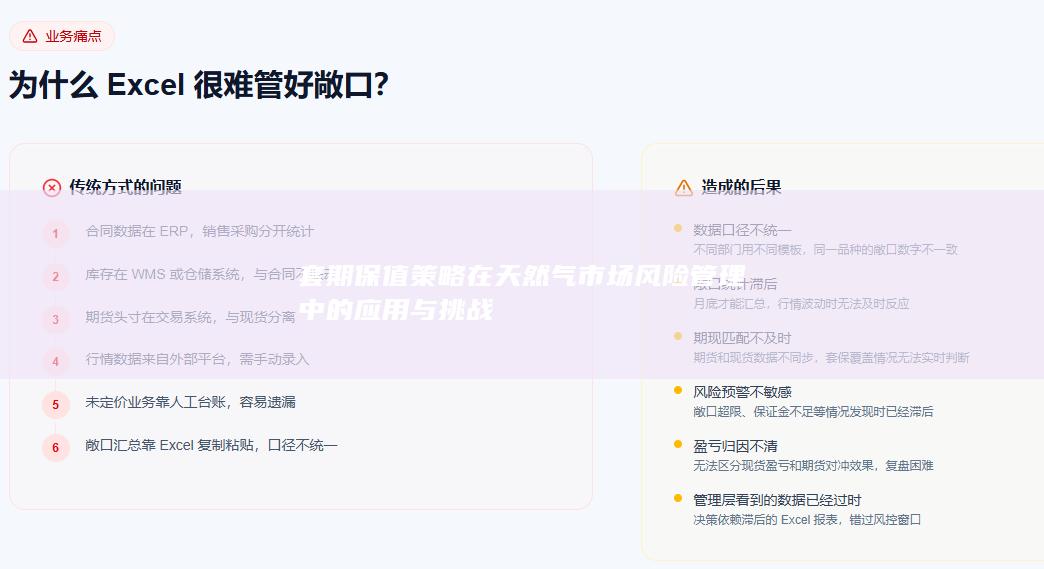 套期保值策略在天然气市场风险管理中的应用与挑战