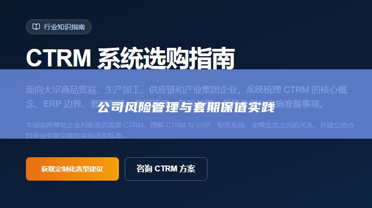 公司风险管理与套期保值实践